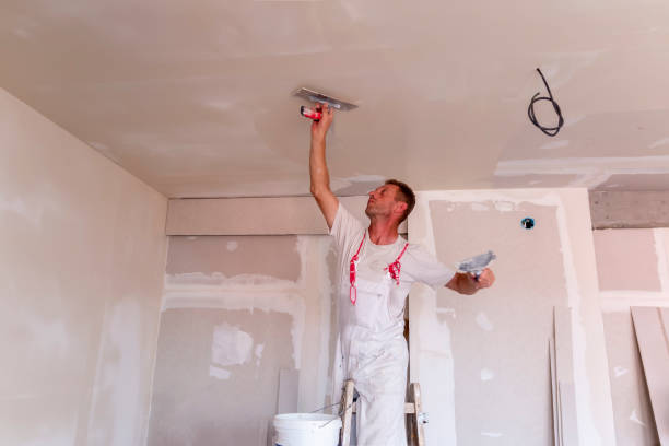 Reliable West Deland, FL Dry wall and painting Solutions